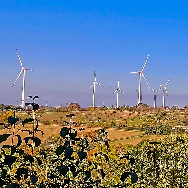 2025-10-01-172541-IMG-720p2541